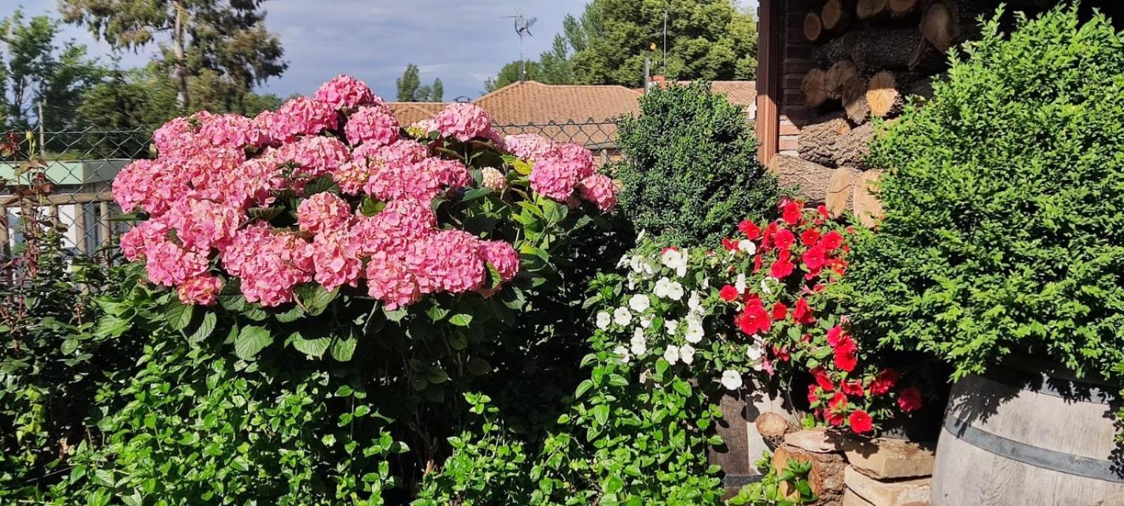 فيلا Casa Almoravid Daroca de Rioja المظهر الخارجي الصورة